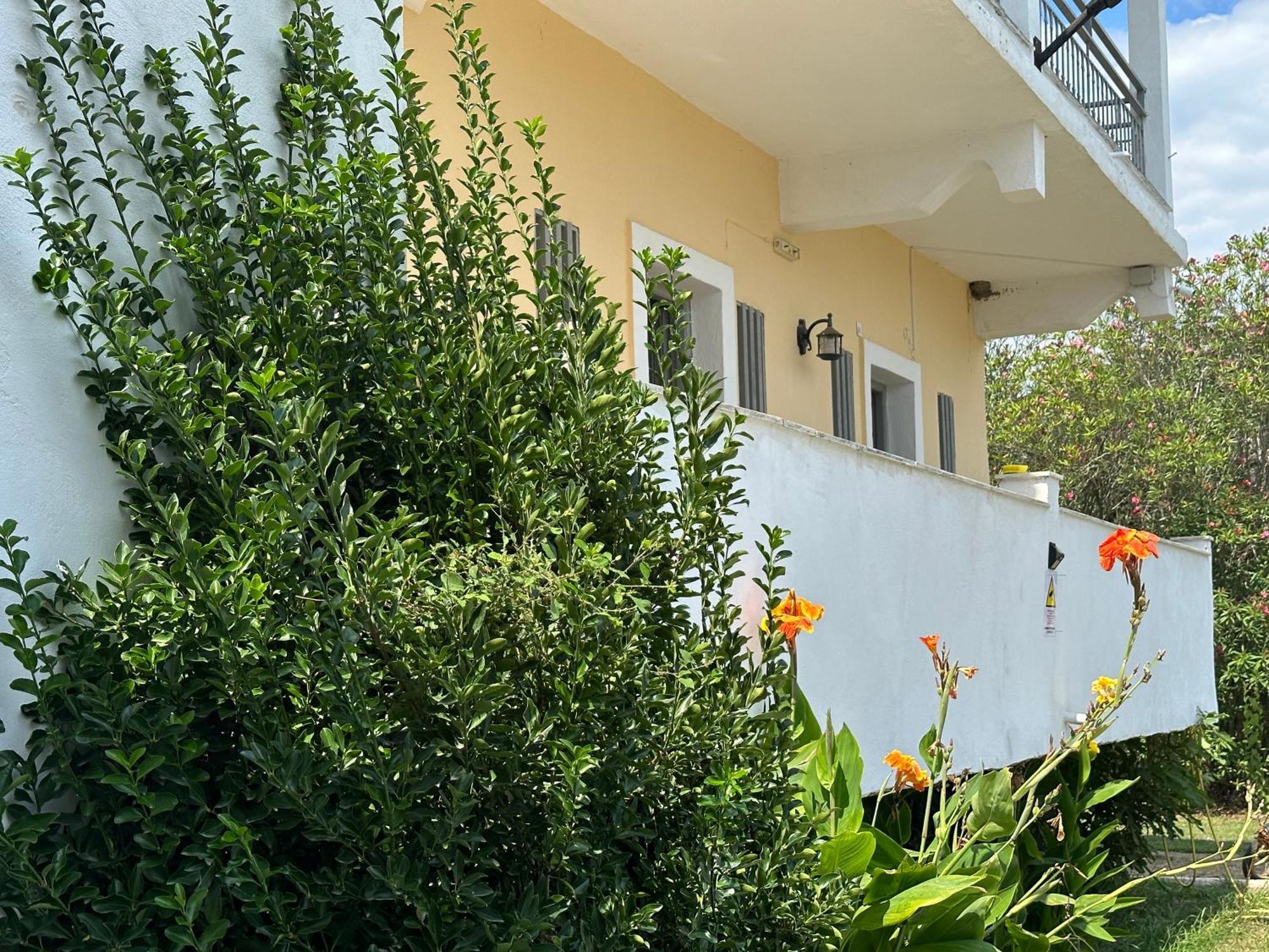 Full House Kavos Hotel Exterior foto